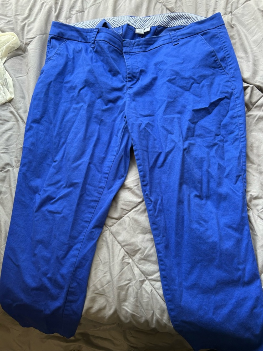 3/$25 JCP 18w Women's Straight Leg Pants in Bright Blue